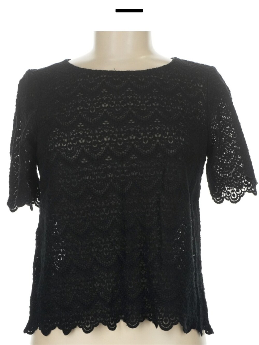 Briadway And Broom Size L PEEKABOO Lace  blouse Minimalist